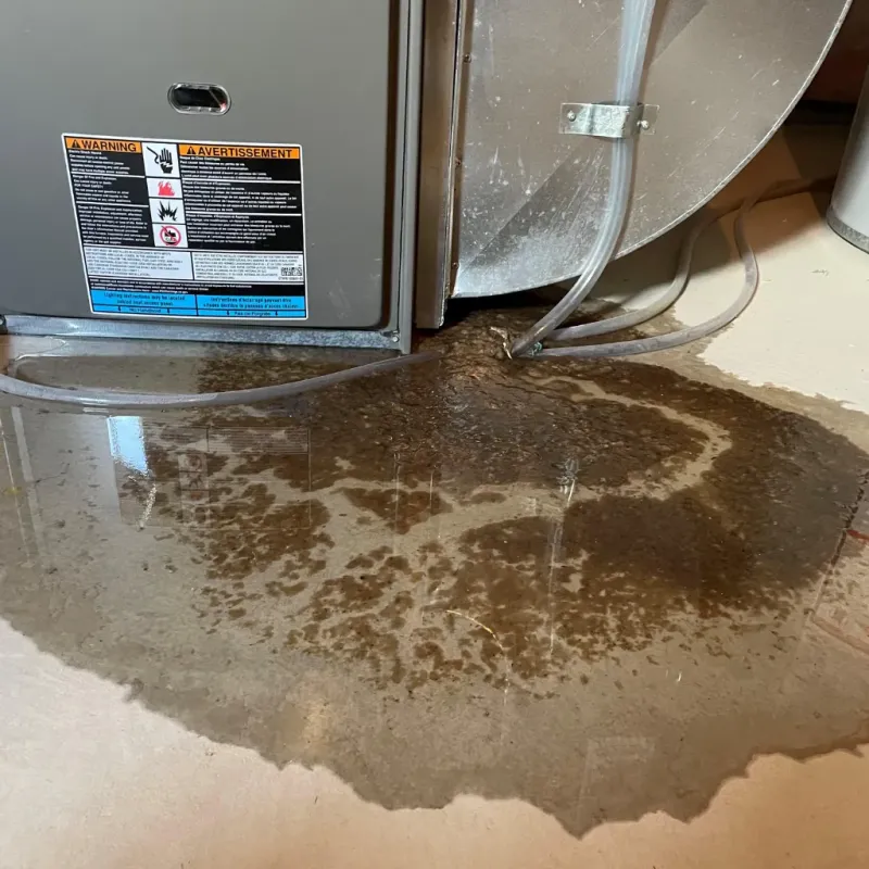 Appliance Leak Cleanup in Refugio County, TX